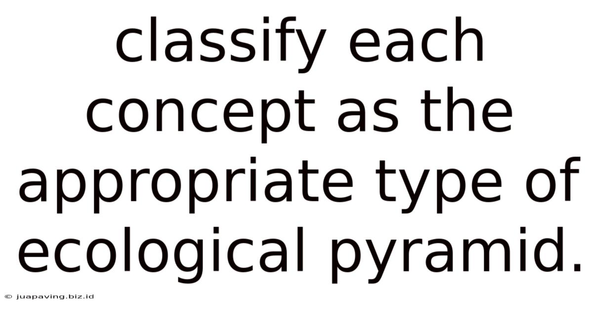 Classify Each Concept As The Appropriate Type Of Ecological Pyramid.