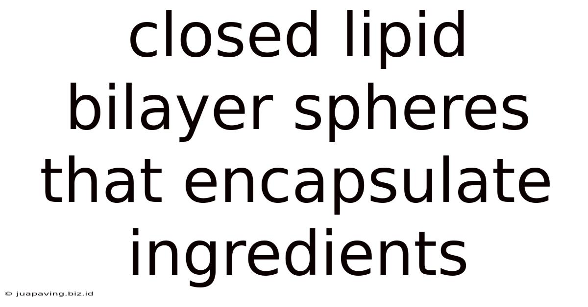 Closed Lipid Bilayer Spheres That Encapsulate Ingredients