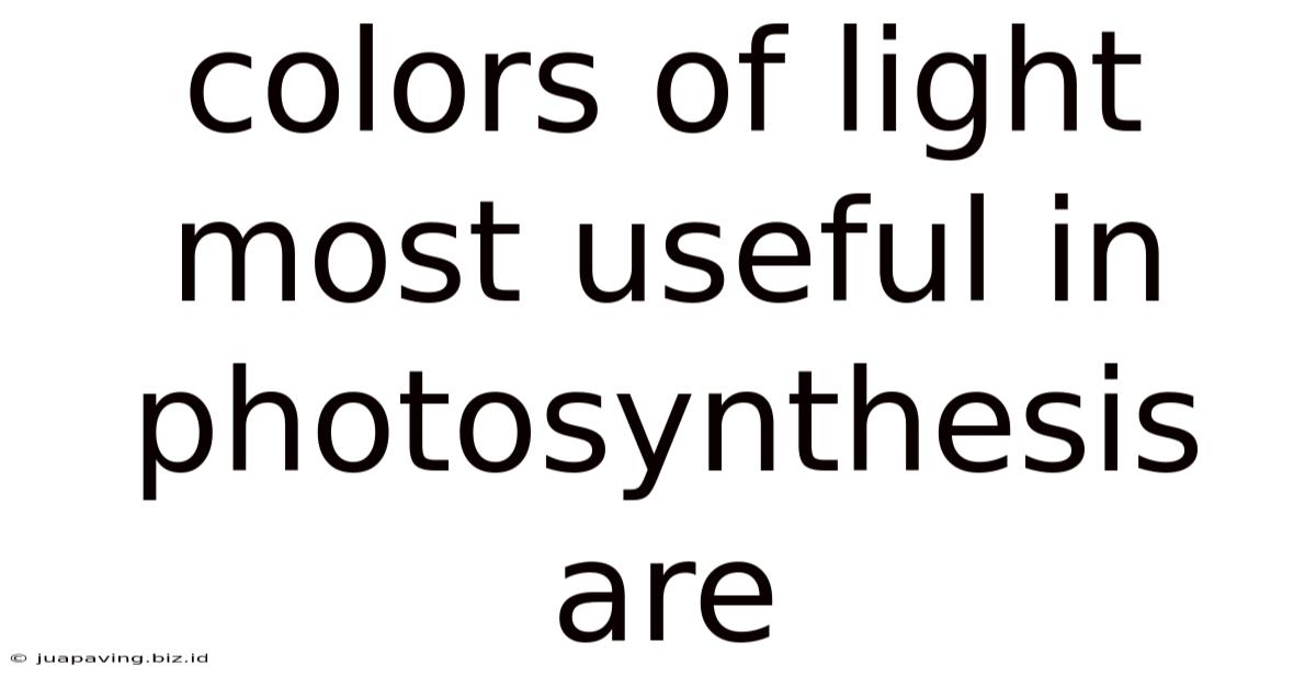 Colors Of Light Most Useful In Photosynthesis Are