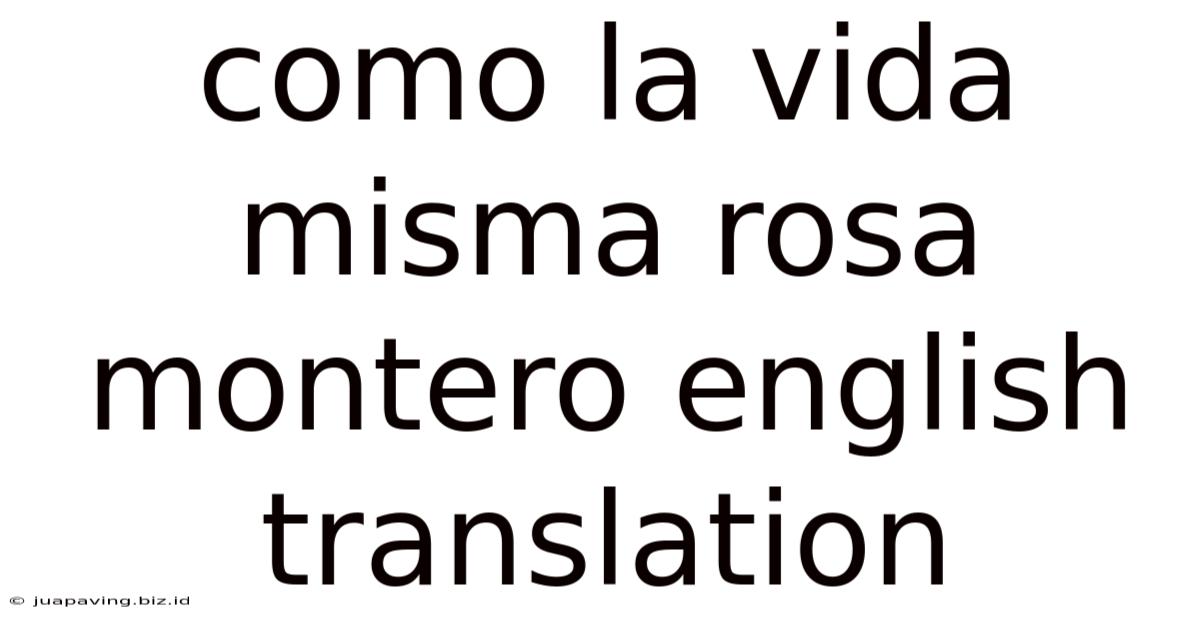 Como La Vida Misma Rosa Montero English Translation