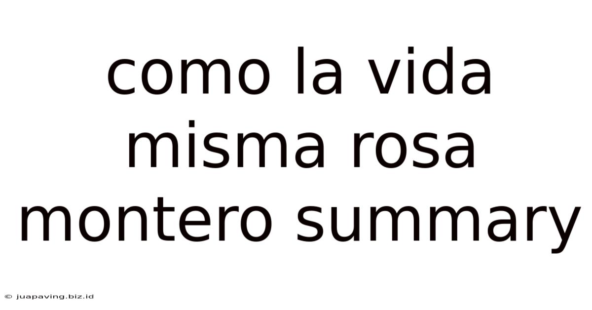 Como La Vida Misma Rosa Montero Summary