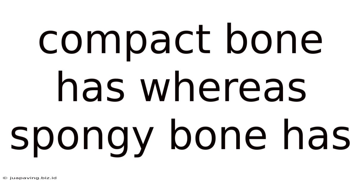 Compact Bone Has Whereas Spongy Bone Has