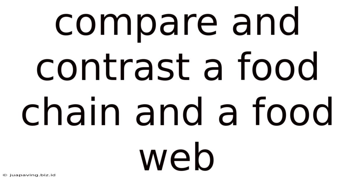 Compare And Contrast A Food Chain And A Food Web