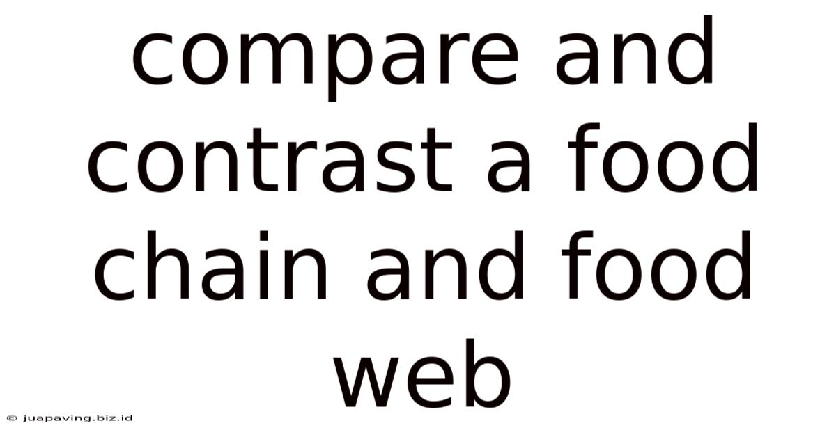 Compare And Contrast A Food Chain And Food Web