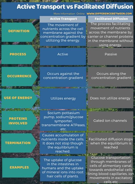 Compare And Contrast Active Transport And Facilitated Diffusion