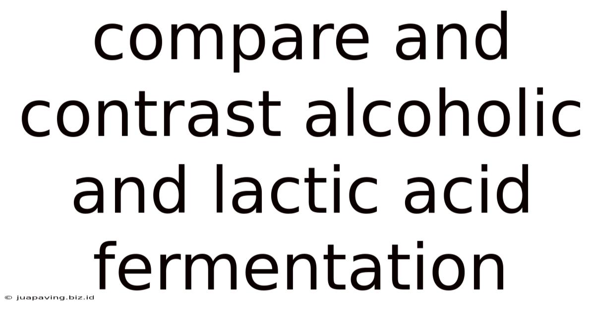Compare And Contrast Alcoholic And Lactic Acid Fermentation
