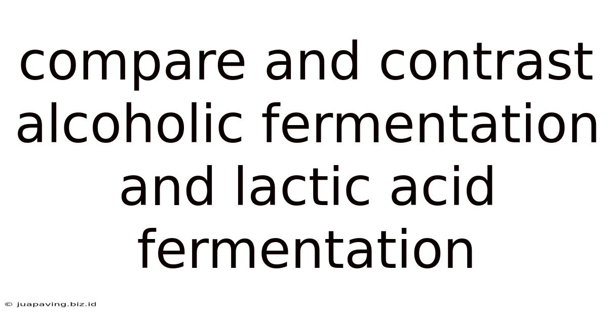 Compare And Contrast Alcoholic Fermentation And Lactic Acid Fermentation
