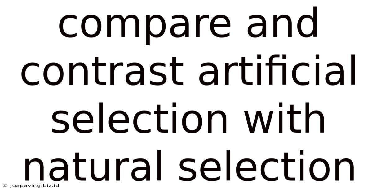 Compare And Contrast Artificial Selection With Natural Selection