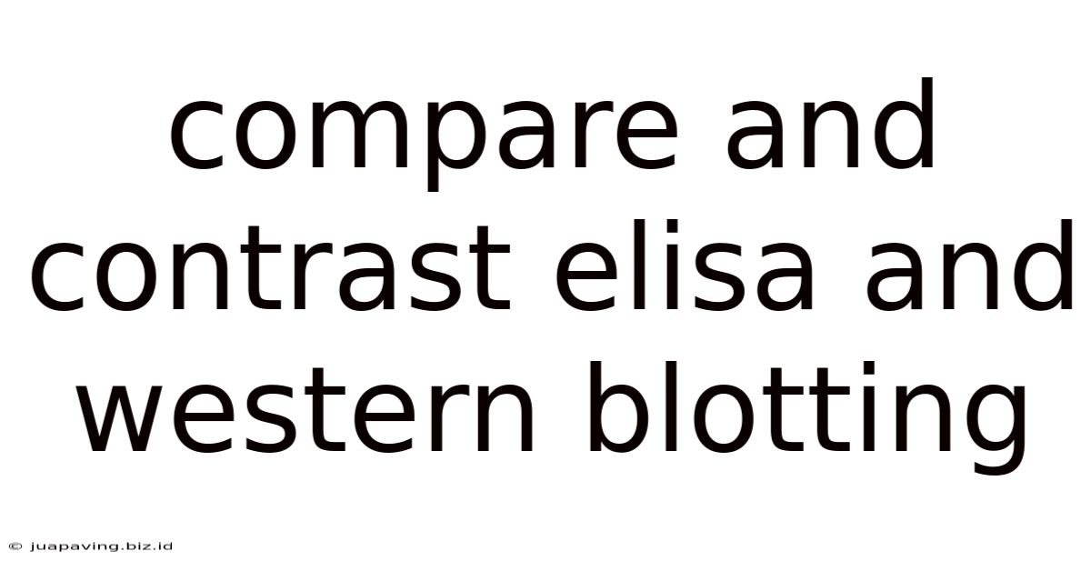 Compare And Contrast Elisa And Western Blotting