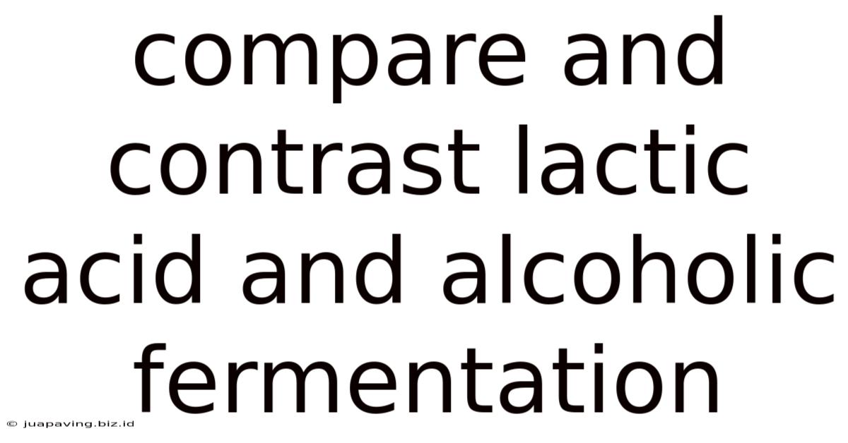Compare And Contrast Lactic Acid And Alcoholic Fermentation