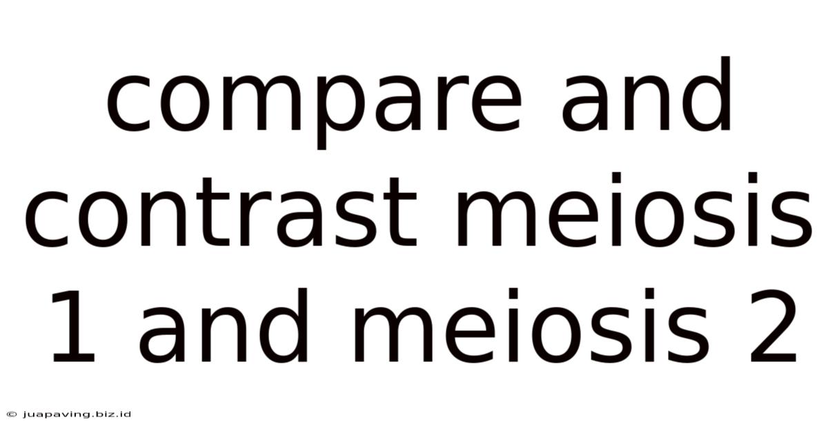 Compare And Contrast Meiosis 1 And Meiosis 2