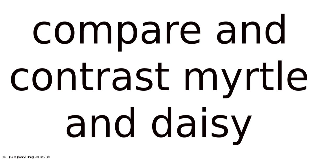 Compare And Contrast Myrtle And Daisy