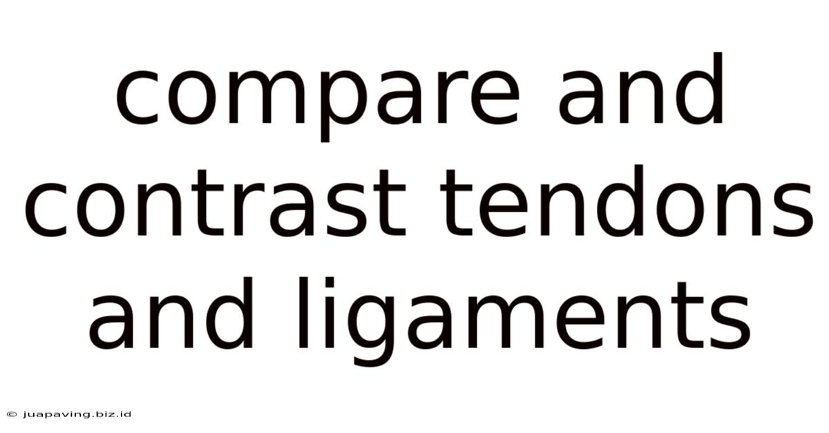 Compare And Contrast Tendons And Ligaments