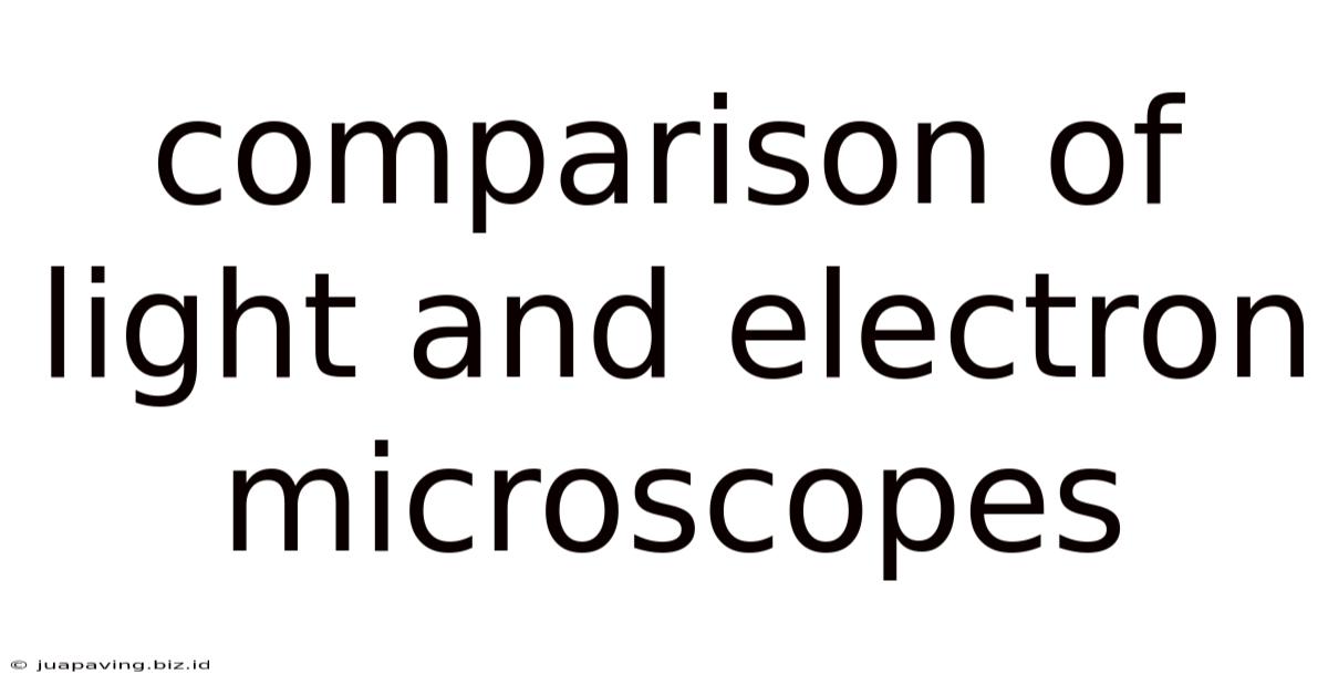 Comparison Of Light And Electron Microscopes