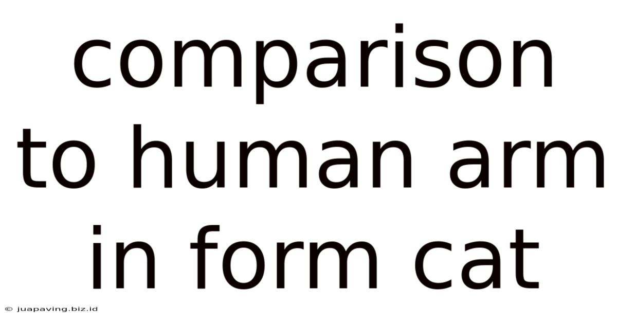 Comparison To Human Arm In Form Cat