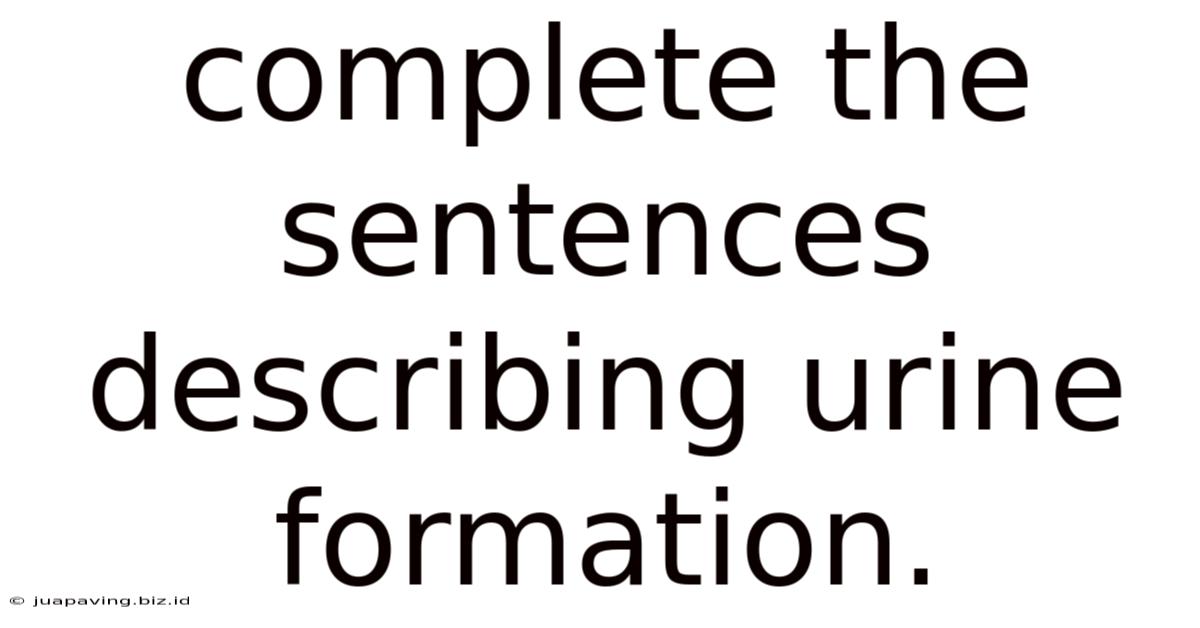 Complete The Sentences Describing Urine Formation.