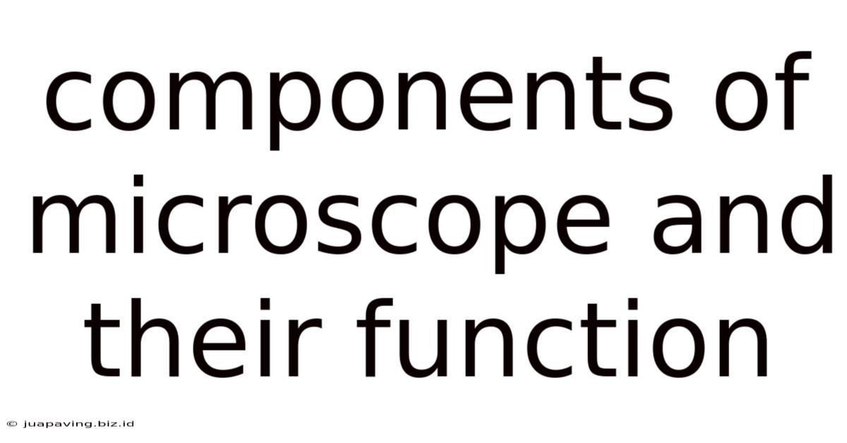 Components Of Microscope And Their Function