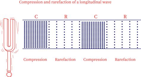 Compressions And Rarefactions Are Characteristic Of