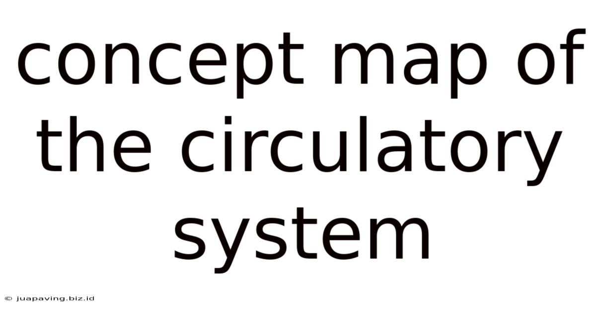 Concept Map Of The Circulatory System