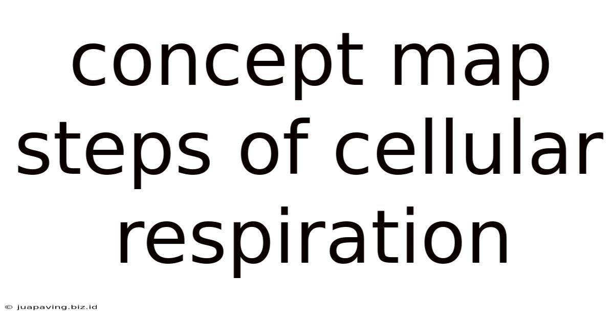 Concept Map Steps Of Cellular Respiration