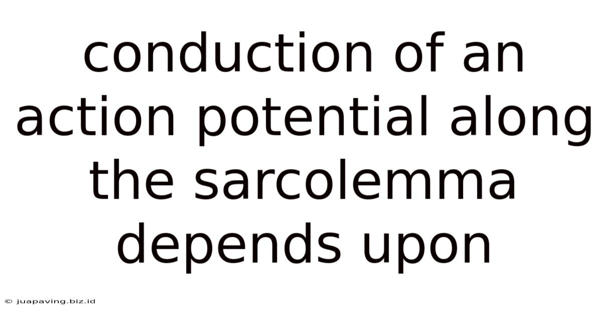 Conduction Of An Action Potential Along The Sarcolemma Depends Upon