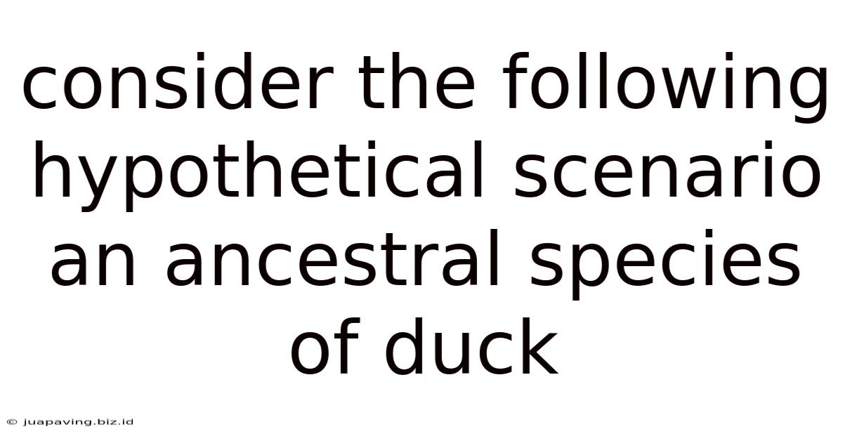 Consider The Following Hypothetical Scenario An Ancestral Species Of Duck