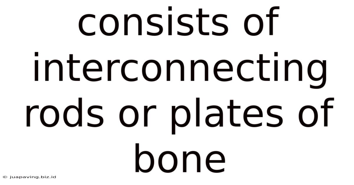 Consists Of Interconnecting Rods Or Plates Of Bone