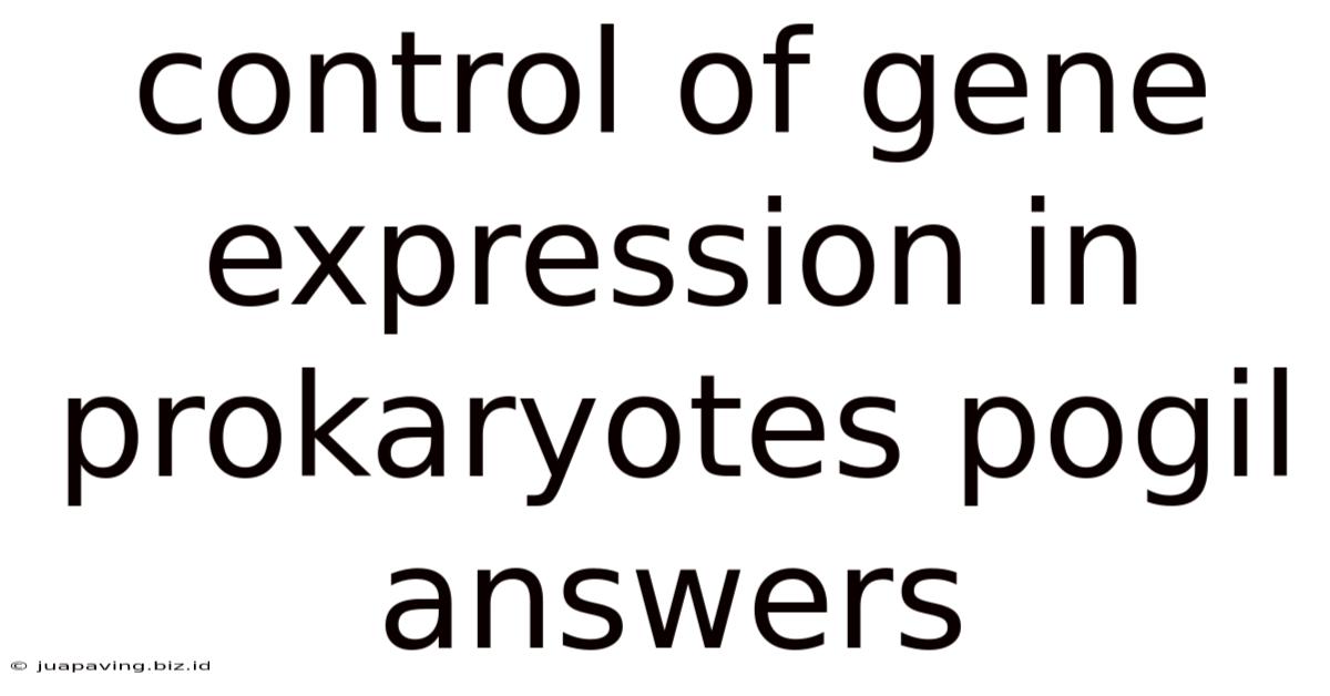 Control Of Gene Expression In Prokaryotes Pogil Answers