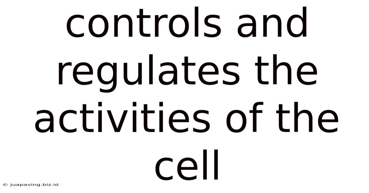 Controls And Regulates The Activities Of The Cell