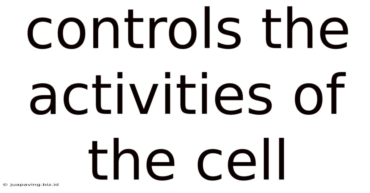 Controls The Activities Of The Cell