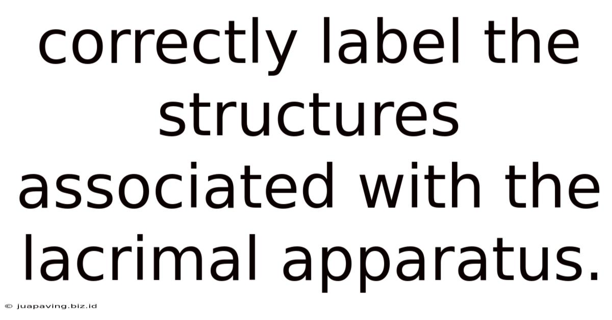 Correctly Label The Structures Associated With The Lacrimal Apparatus.