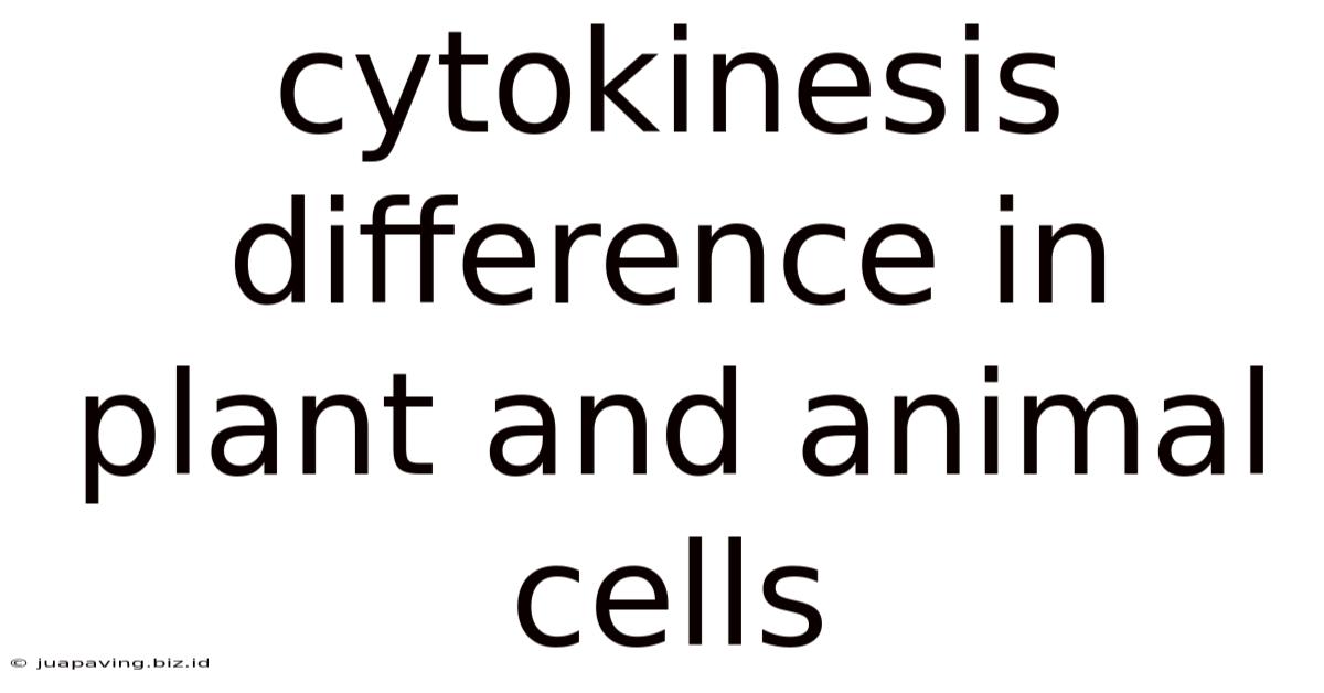 Cytokinesis Difference In Plant And Animal Cells