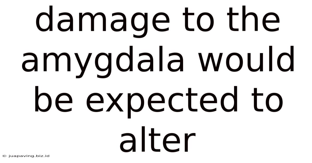 Damage To The Amygdala Would Be Expected To Alter