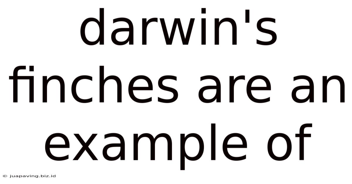 Darwin's Finches Are An Example Of