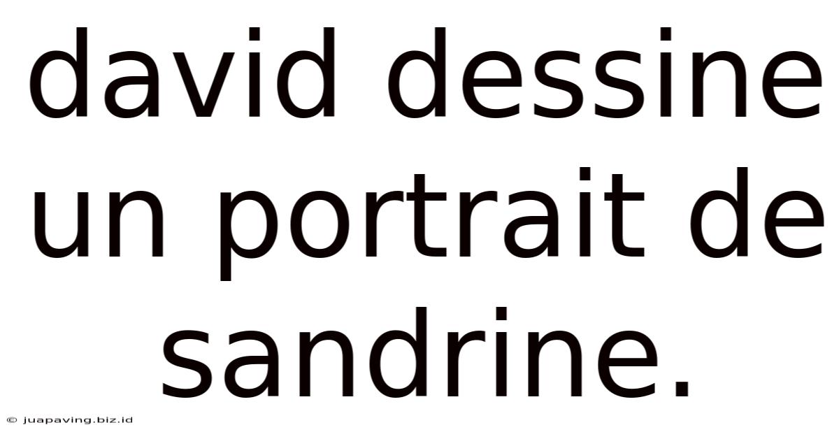 David Dessine Un Portrait De Sandrine.