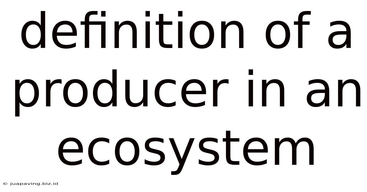 Definition Of A Producer In An Ecosystem