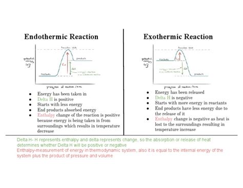 Delta H Is Negative Exothermic Or Endothermic