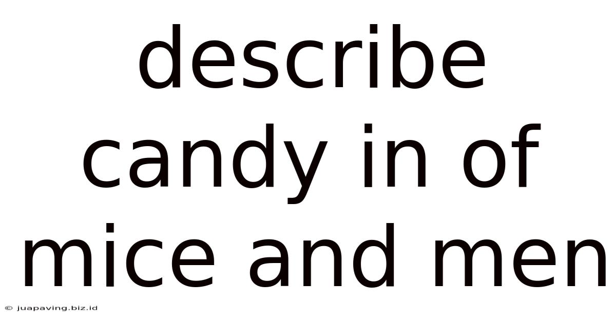 Describe Candy In Of Mice And Men