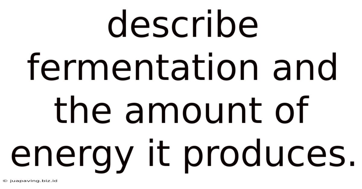 Describe Fermentation And The Amount Of Energy It Produces.