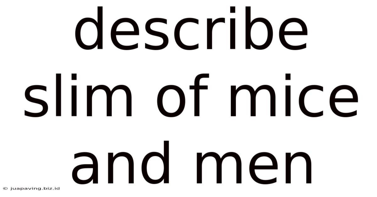 Describe Slim Of Mice And Men