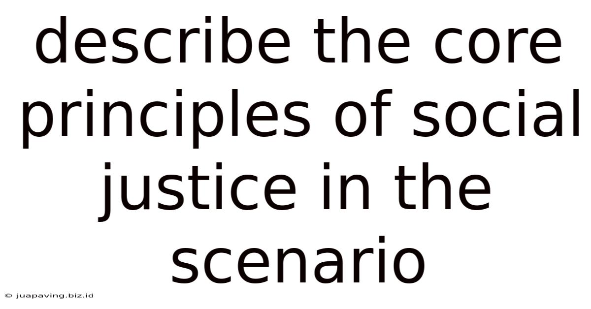 Describe The Core Principles Of Social Justice In The Scenario