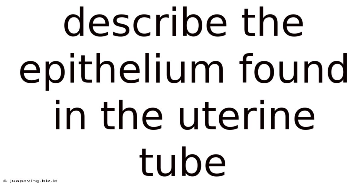 Describe The Epithelium Found In The Uterine Tube