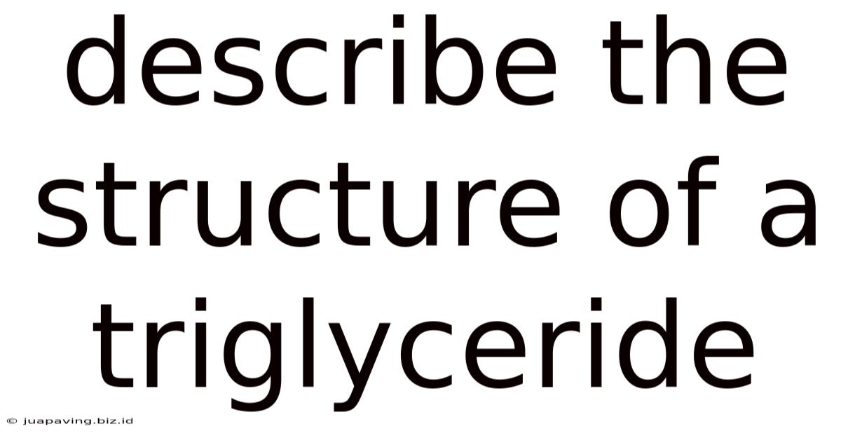 Describe The Structure Of A Triglyceride