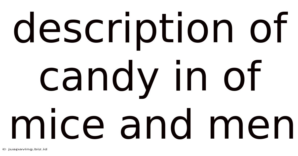 Description Of Candy In Of Mice And Men