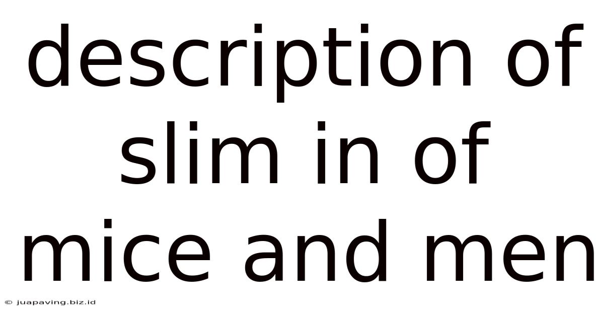 Description Of Slim In Of Mice And Men