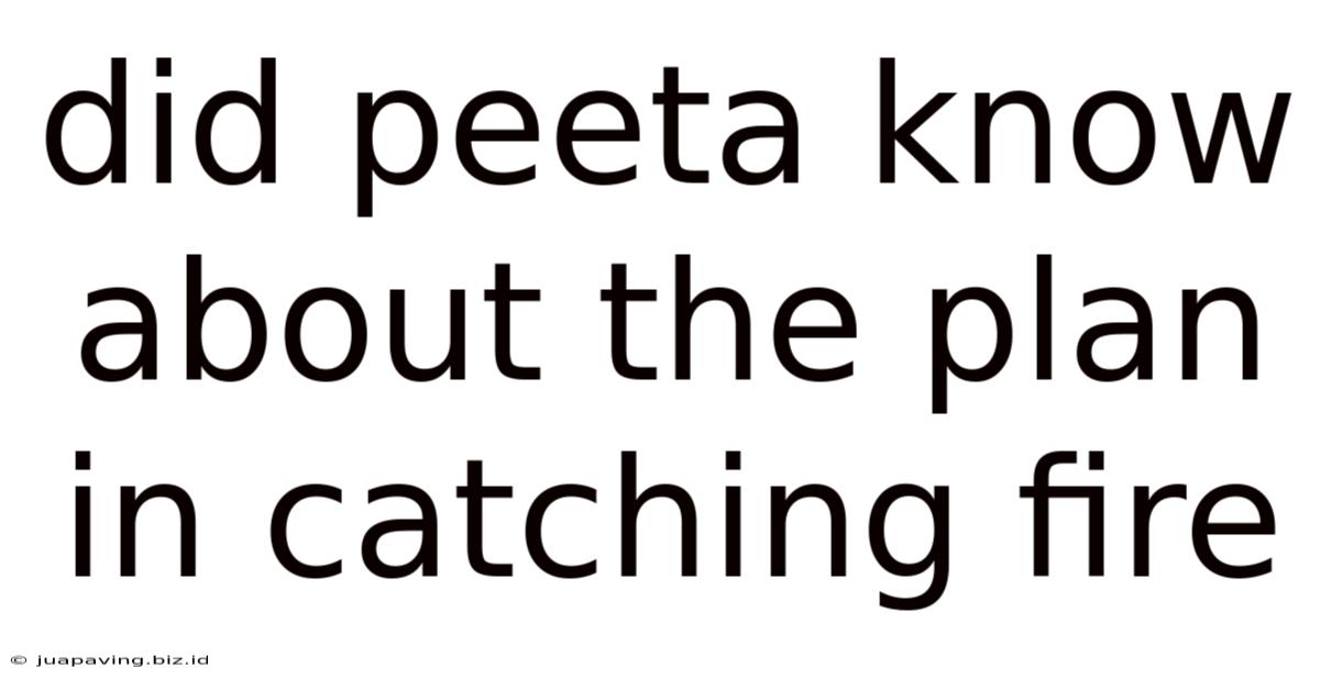 Did Peeta Know About The Plan In Catching Fire