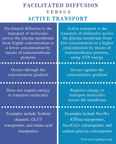 Difference Between Active Transport And Facilitated Diffusion