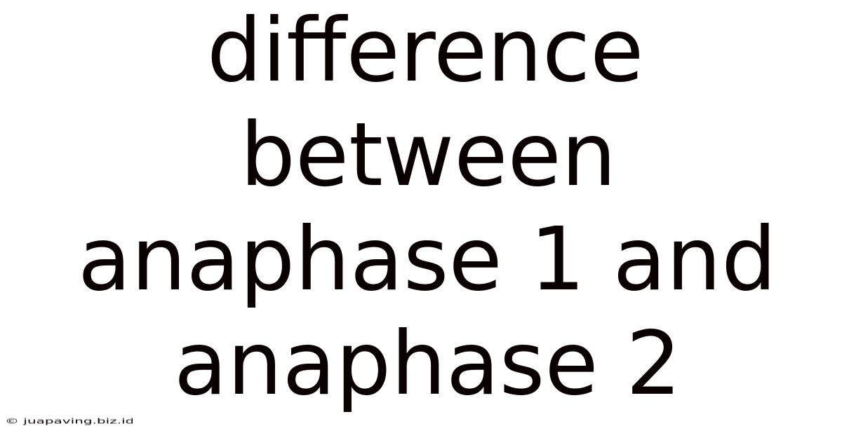 Difference Between Anaphase 1 And Anaphase 2