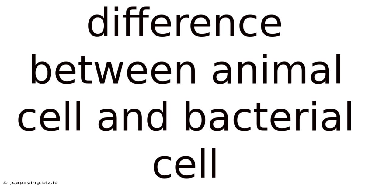 Difference Between Animal Cell And Bacterial Cell