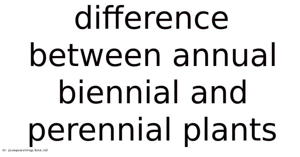 Difference Between Annual Biennial And Perennial Plants